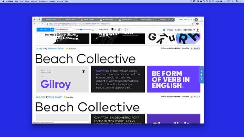 Visual Identity: Type Pairing 2