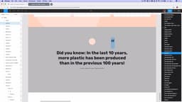 Fun Fact Section