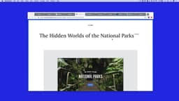 Case Study Examples