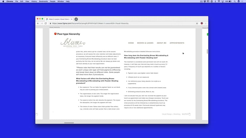 Type Hierarchy – Examples