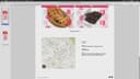 Our project design