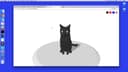 Introduction to Poly Cat