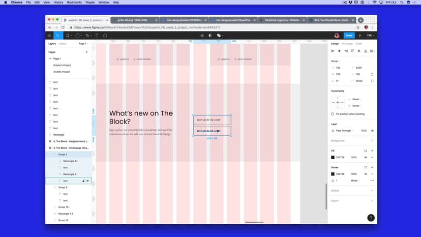 Week 2 Project: Newsletter